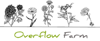 Overflow Farm